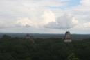 Tikal above the trees: Amazing view above the jungle at 